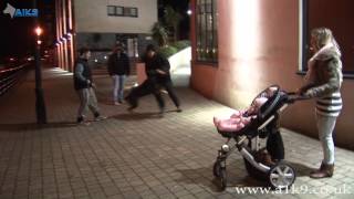 Family Protection Dogs By A1K9 In An Urban Environment With The Family.