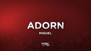 Miguel - Adorn (Lyrics)