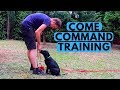 How to Teach Puppy the COME Command How to Teach Puppy the COME Command