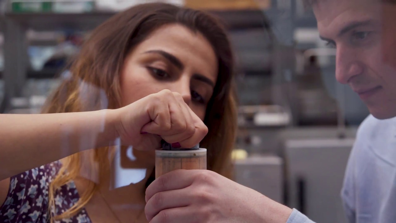 camera iphone 8 plus apk Meet the Chemistry Honorees - 2017 Blavatnik Regional Awards