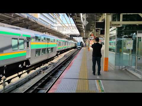 3月24日横浜駅 3001M サフィール踊り子1号 E261系 宮オオRS2編成 入線