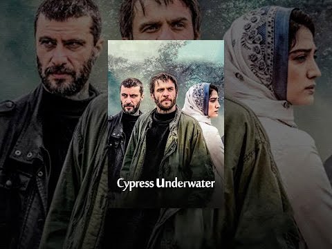 Cypress Under Water