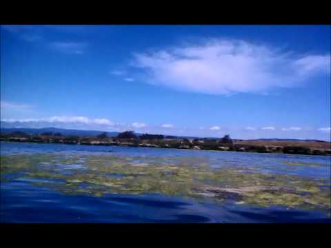 Video: Elkhorn Slough loodusreis Monterey lahes