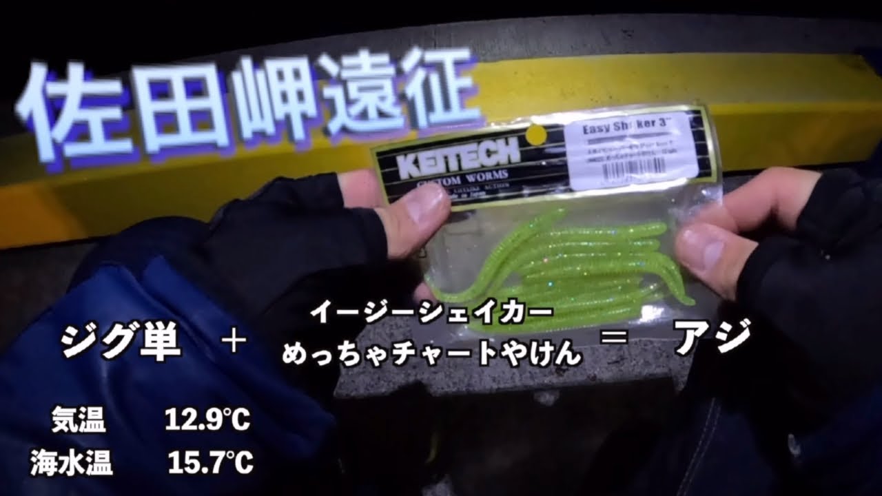【愛媛】ミスターK君と佐田岬遠征(午前4時からのアジング編)