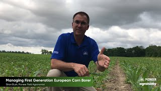 European Corn Borer: Managing the Larvae Stage