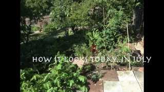 Midweek Bellino Break  #14: Clara Bellino's Garden through the seasons!