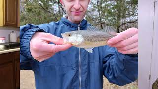 The Hunt for a Big Channel Cat Begins