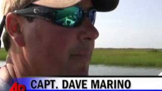 Oil Continues to Spread, Long Gulf Cleanup Looms