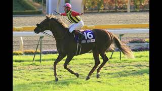 mqdefault.jpg