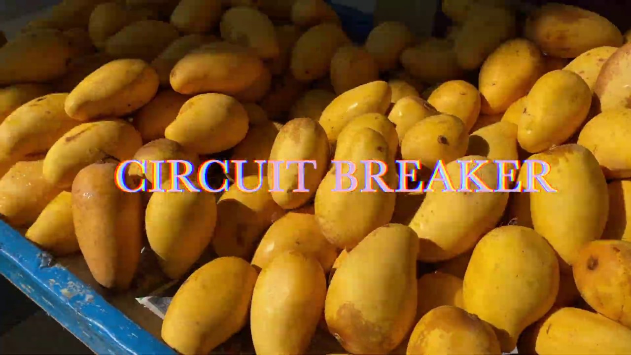 Ending the Circuit Breaker - YouTube