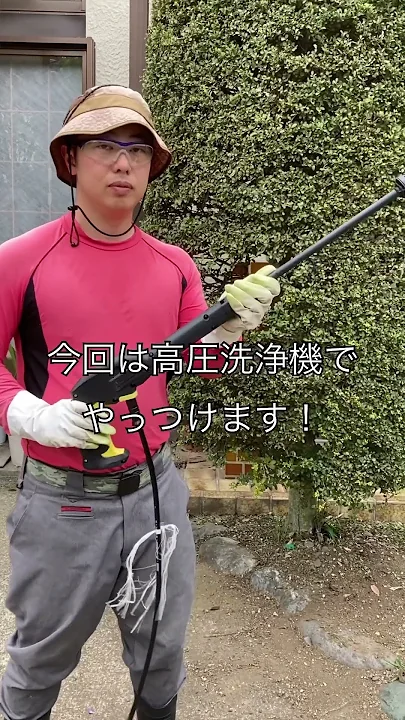 ハダニが大事な植木に大量発生したら、薬剤ではなくこれ！(字幕対応）