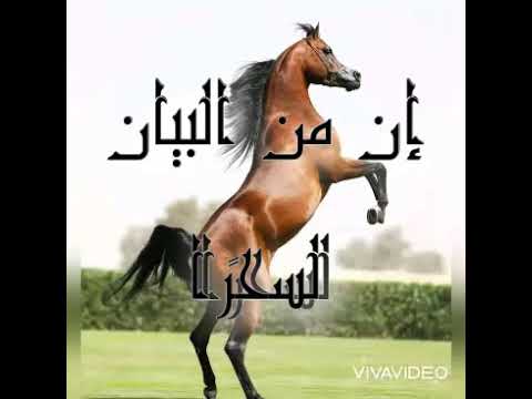 مجمع الأمثال 1 إن من البيان لسحرا