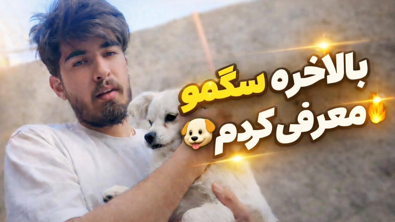 بالاخره نشونش دادم! 😳 معرفی آلفا + آشنایی با پیت و یه دیدار بعد چند سال با رفیقم امید 