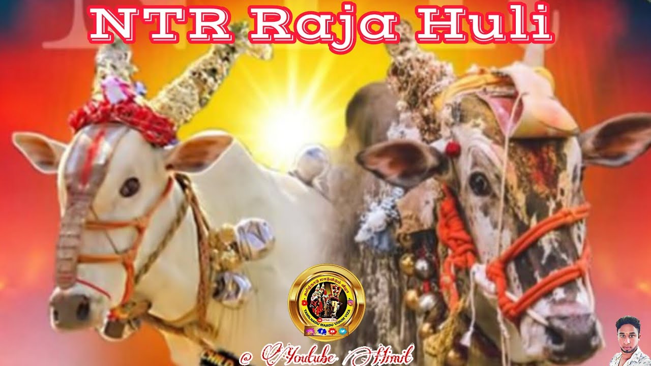NTR Sarithira Nayagan 🔥Raja Huli ️ Babu Anna Kalai 🔥 King Maker 👑# ...