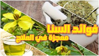 فوائد السنامكي او السنا والسنوت الذي أوصى به الرسول صلى الله عليه وسلم  ، كنز صحي