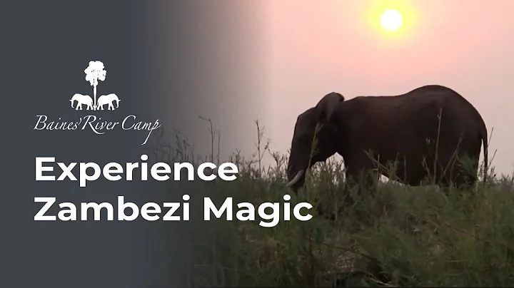 Unforgettable Fly Fishing with Elephants at Baines' River Camp