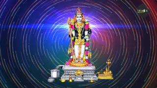 Swamy Malai Murugan Devotional Songs | Lord Murugan Songs