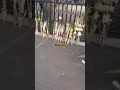 Сувениры из соломы. Манила