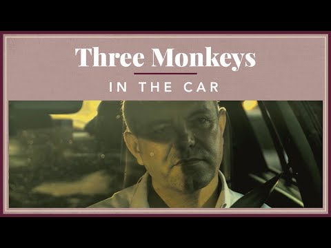 Three Monkeys - In The Car