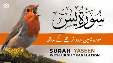 Surah Yaseen  سورة يس  Tarjuma Ke Sath | Quran Tilawat with Urdu & Hindi Tarjuma | Holy Quran