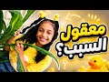 من هي غرام ابوجبل تعالو نشوف القصه كامله أسرار ومعلومات لأول مرة 