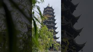 Paseo bajo la lluvia por una antigua págoda en China ⛩️ #guilin #china #meditacion #relax #templo