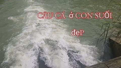 CÂU CÁ SUỐI _ một ngày nắng đẹp @ TS .go Fishing TV