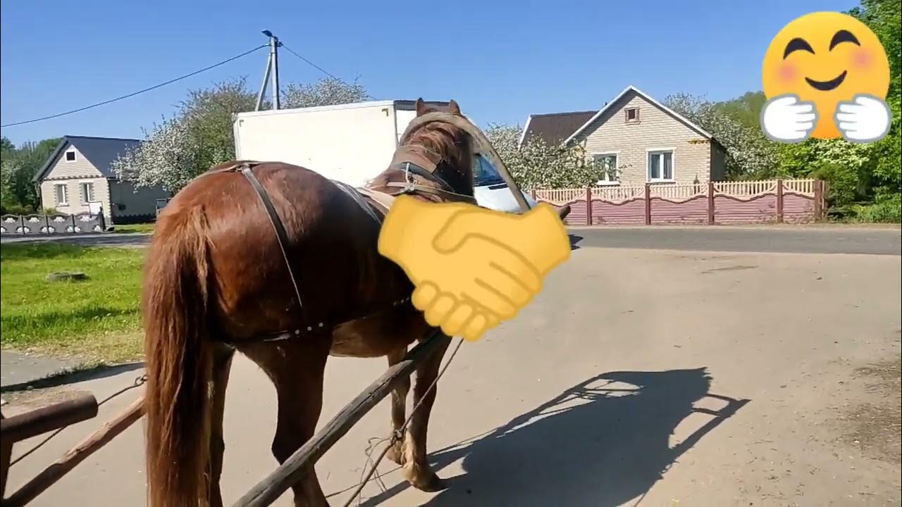 Люся, душа компании - YouTube