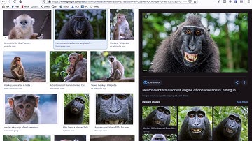 Google Advanced Image Search Function Tool - Size