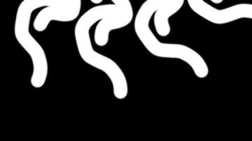 DRAWING ANIMATION 2020 - Procreate, Clip Studio, Astropad, Autodesk Sketchbook, Affinity Photo? 2020