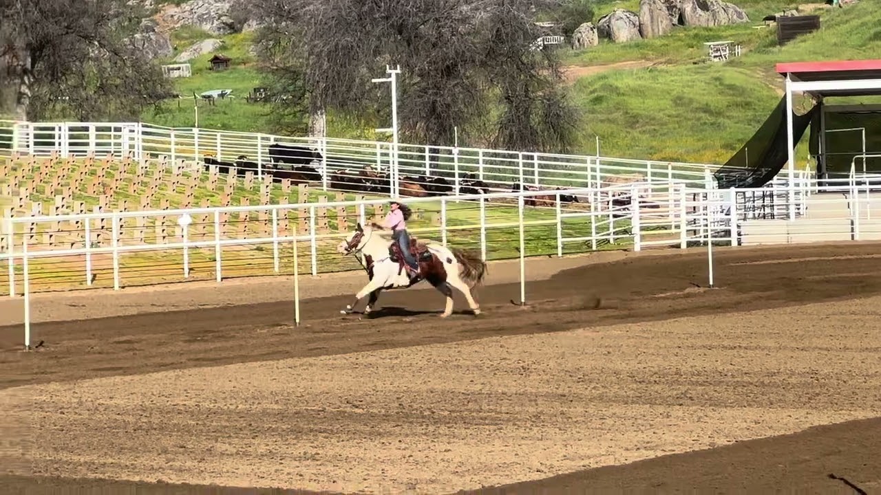 CJCA February Rodeo Sunday Poles