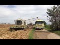 Gavazzoni (2015): mega trebbiatura mais con 5 Claas Lexion