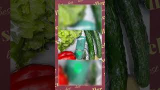 Portable Fruit and Vegetable Cleaning Machine Rechargeable Food Washing Purifier Vegetable Washer...