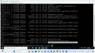 SAP  HANA -OS LEVEL FILE SYSTEMS