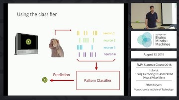 Tutorial: Using Decoding to Understand Neural Algorithms