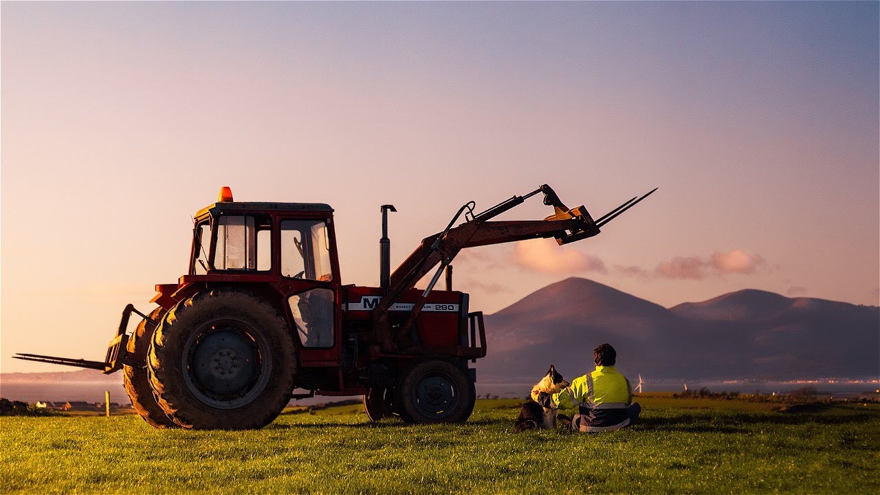 Shine (2021) - Irish Short Film