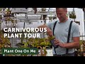 CARNIVOROUS PLANT Greenhouse Tour — Ep. 245