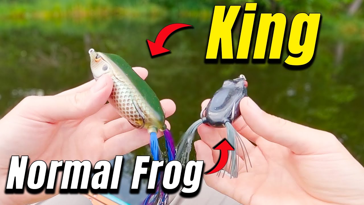 Will This Giant Frog Catch Giant Bass?