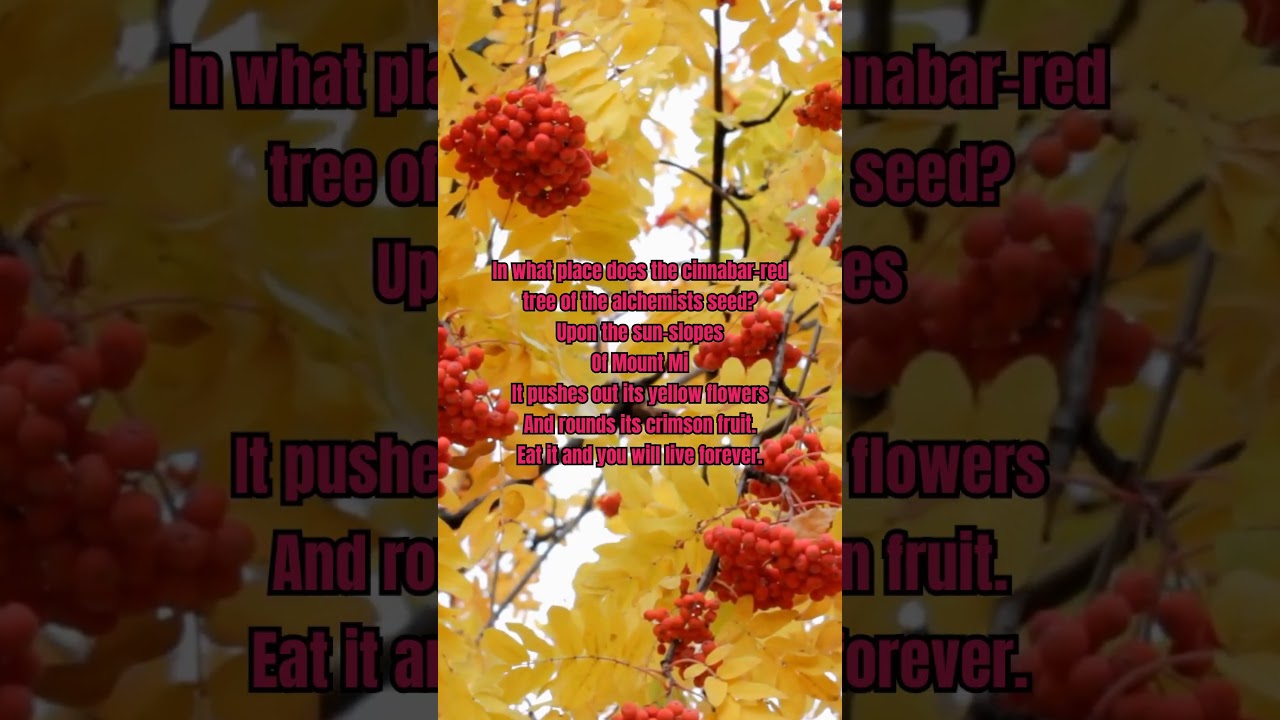 Chinese Poetry: ON THE CLASSIC OF THE HILLS AND SEA 