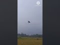 layangan pesawat