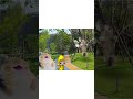 Cat happy happy song #animation #funny