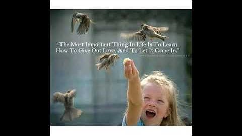 World Sparrow Day - Kids Awareness Clip