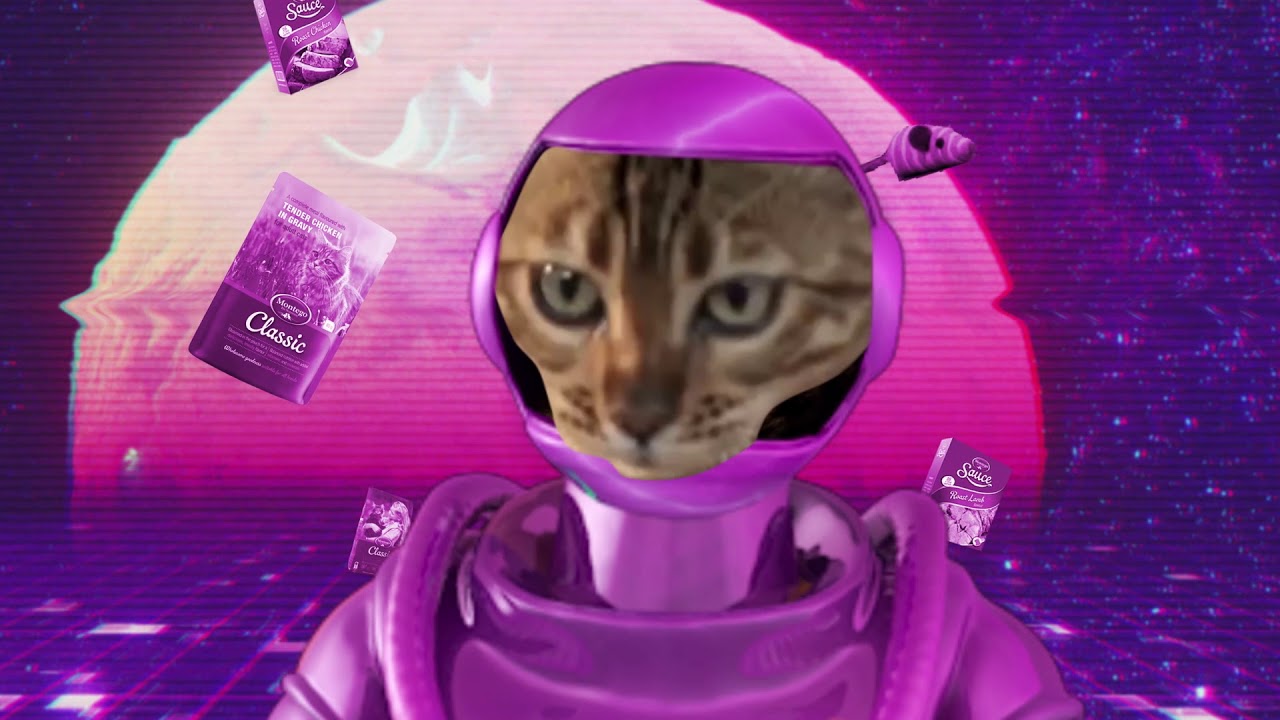 south african rand to usd Montego’s extended cat range is Catstronomical!