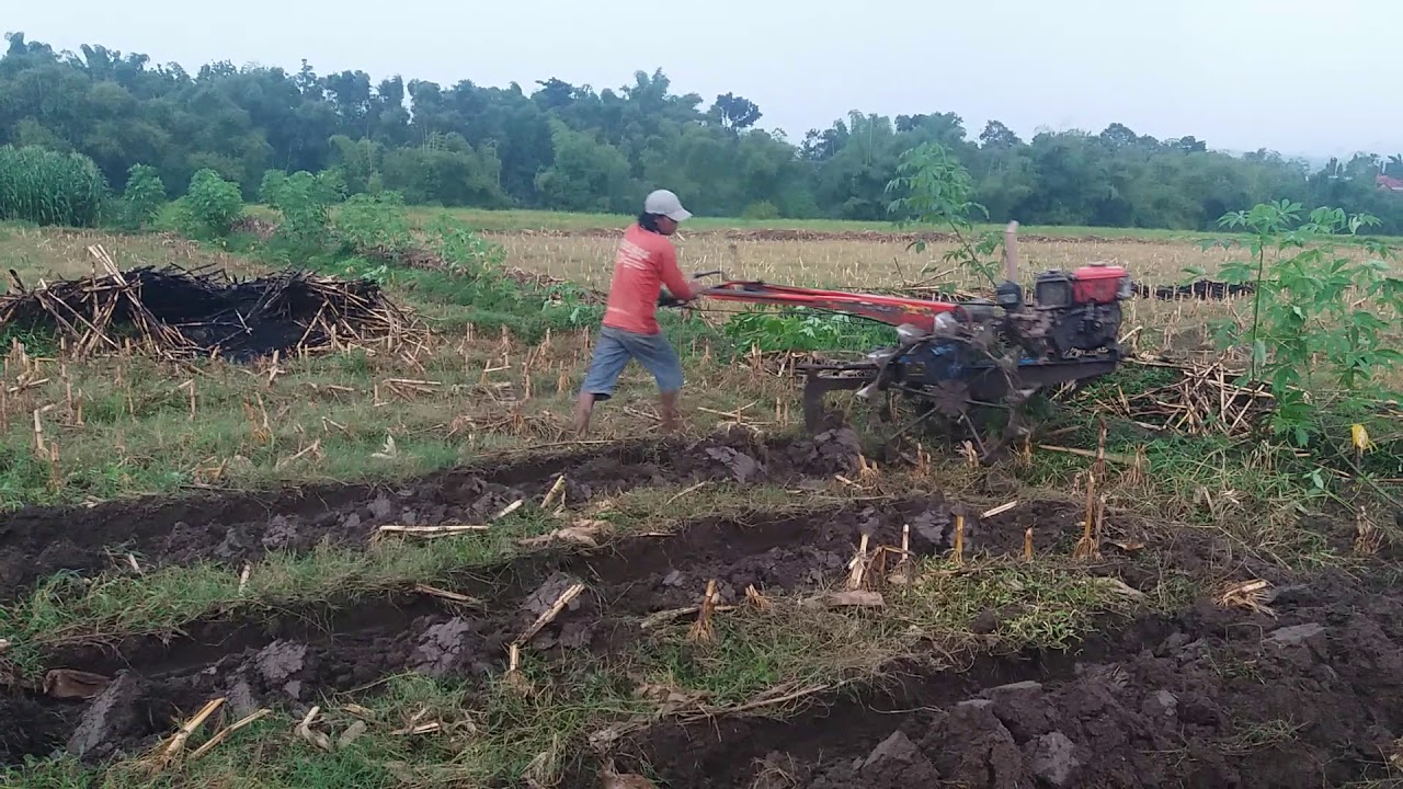 Membuat Bedeng An Seni Pola Bedeng Sawah Langkah awal Membuat Bedeng An Seni Pola Bedeng Sawah Langkah awal