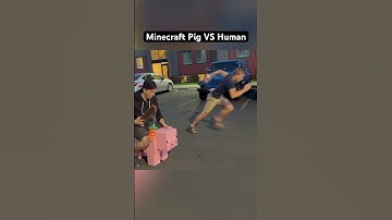 Minecraft Pig Race Against my Brother