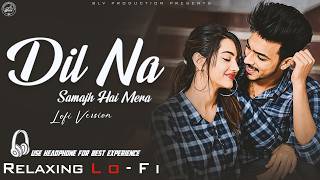 Dil Na Samajh Hai Mera || New Lo-fi | Relaxing Lo- FI Version || BLV Production screenshot 2