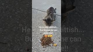 The toughest and the sweetest 😺😍🐈 #cats #catvideos #cat