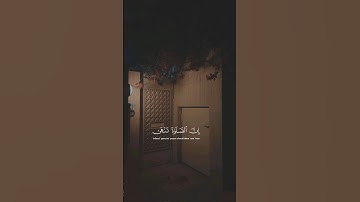 القران الکریم #تلاوة_خاشعة #تلاوات #ترند #تلاوه #subscribe #لايك #تلاوتقران #راحة_نفسية #قرانكريم