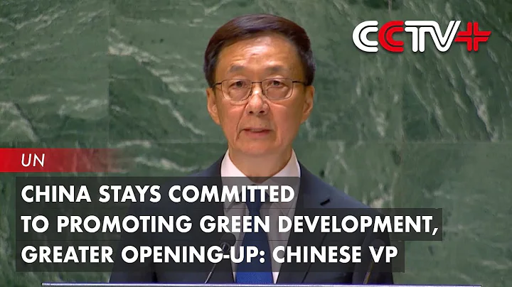 China Stays Committed to Promoting Green Development, Greater Opening-Up: Chinese VP - DayDayNews
