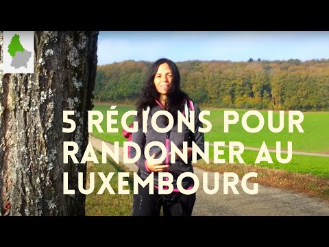5 régions pour randonner au Luxembourg (et 28 exemples de circuits pédestres)